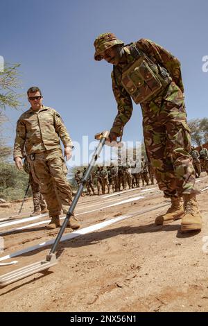 ÉTATS-UNIS Le sergent d'état-major de l'armée Isaac Bocanegra, un chef d'équipe de la compagnie Ordnance 720th (mise au rebut des explosifs), observe un soldat des Forces de défense kenyanes à l'aide d'un détecteur de métaux à la recherche au sol au cours de l'entraînement contre-improvisé des engins explosifs pendant l'Accord 2023 justifié. Dirigée par la Southern European Task Force, Africa (SETAF-AF), JA23 rassemble les États-Unis Les forces, les Forces de défense du Kenya et les partenaires pour renforcer leur état de préparation, préparer les partenaires régionaux aux missions mandatées par les Nations Unies et l'Union africaine, et accroître l'interopérabilité multinationale. Banque D'Images