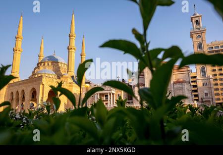 Mohammad Al-Amine Mosquée et à droite de la cathédrale maronite Saint Georges, Beyrouth, Liban Banque D'Images