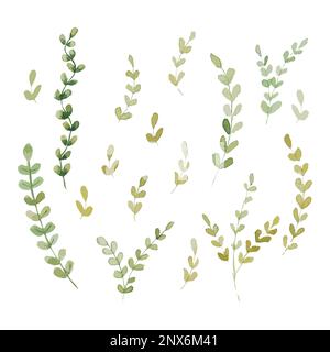 Illustrations vectorielles aquarelle. Falaise botanique. Ensemble de feuilles et branches vertes. Éléments à motif fleuri. Parfait pour les invitations de mariage, greetin Illustration de Vecteur
