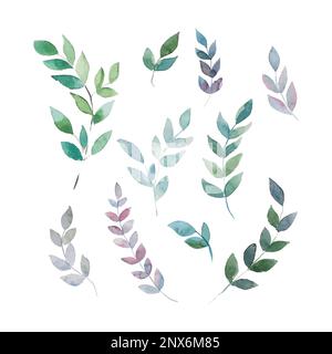 Illustrations vectorielles aquarelle. Falaise botanique. Ensemble de feuilles et branches vertes. Éléments à motif fleuri. Parfait pour les invitations de mariage, greetin Illustration de Vecteur