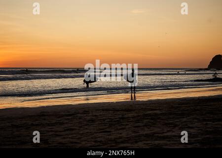 deux personnes marchant le long d'une plage de sable, chacune portant une longue planche de surf entre leurs mains Banque D'Images