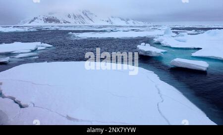 Dérive de la glace flottante et des montagnes enneigées, Iceberg, flotteurs de glace, Albert I Land, Arctique, Spitzbergen, Svalbard, Norvège, Europe Banque D'Images