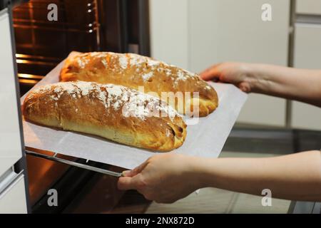 Photo de femmes les mains de prendre des pains chauds frais cuits d'un four électrique sur un plateau métallique dans la cuisine à la maison. Pain rustique fait maison, baki Banque D'Images