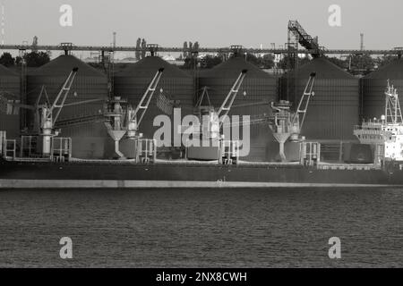 Chargement du grain dans les soutes du navire de cargaison maritime sur la ligne automatique dans le port maritime à partir des silos de stockage du grain. Soute de chargement en vrac avec grain. Couloir de grain d Banque D'Images