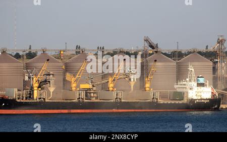 Chargement du grain dans les soutes du navire de cargaison maritime sur la ligne automatique dans le port maritime à partir des silos de stockage du grain. Soute de chargement en vrac avec grain. Couloir de grain d Banque D'Images