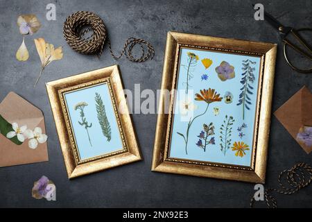 Cadres avec fleurs séchées pressées et plantes sur table noire, plat. Magnifique herbier Banque D'Images