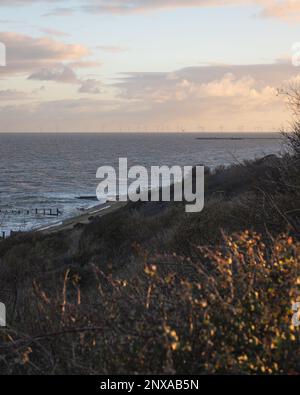 Walton sur le coucher du soleil de Naze. Vue sur les disjoncteurs. Tons chauds du soleil couchant. Les vagues se brisent. Une journée venteuse. Banque D'Images