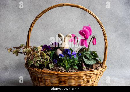 Panier floral de Pâques avec décoration de lapin de Pâques, cyclamen, fleurs de premrose, pansies miniatures et lierre Banque D'Images