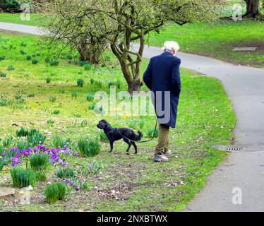 Glasgow, Écosse, Royaume-Uni 1st mars 2023. Météo au Royaume-Uni : le premier jour du printemps a vu le soleil tandis que les habitants se sont emmis dans les rues de la ville. Les jardins botaniques ou botaniques dans l'extrémité ouest au printemps. Crédit Gerard Ferry/Alay Live News Banque D'Images