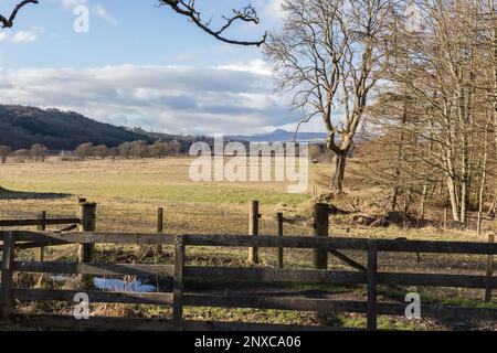 Vue sur les clôtures en bois vers les champs et le lointain Ben Lomond, vu depuis le chemin partagé John Muir Way et West Highland Way près de Dumgoyach. Banque D'Images