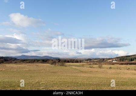 Vue sur les champs avec des moutons jusqu'aux montagnes lointaines des Highlands du sud, vue depuis le chemin partagé John Muir Way et West Highland Way près de Dumgoyach. Banque D'Images