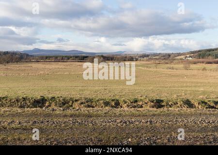 Vue sur les terres agricoles jusqu'à Ben Lomond et Conic Hill, vue depuis le chemin partagé John Muir Way et West Highland Way, près de Dumgoyach, vallée de Strathblane. Banque D'Images