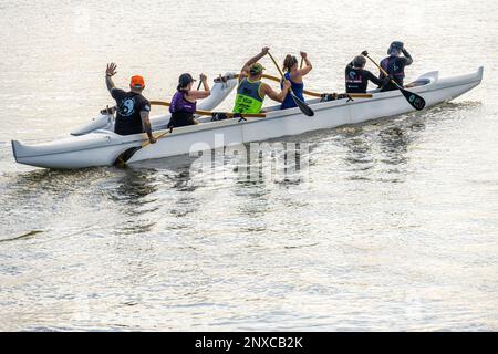 Les pagayeurs du Lokahi Outrigger Canoe Club sur la rivière Tolomato (Intracoastal Waterway) à St. Augustine, Floride. (ÉTATS-UNIS) Banque D'Images