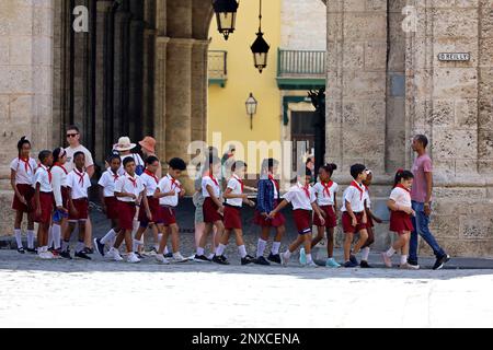 Les enfants des écoles cubaines des pionniers marchent dans la rue de la vieille ville pendant l'excursion Banque D'Images