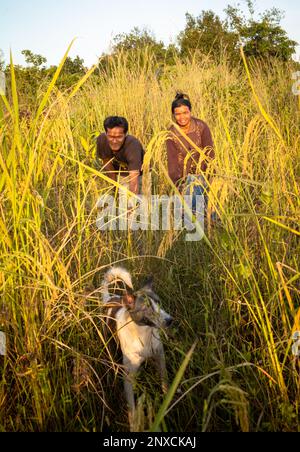 Un mari et une femme d'un village de la province rurale de Siem Reap au Cambodge traversent un de leurs champs de riz avec leur chien de compagnie. Banque D'Images