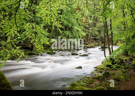 Buchberger Leite, Bayern, Allemagne Banque D'Images