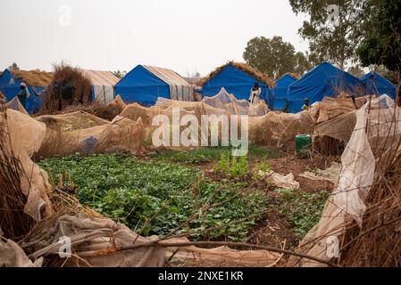 Nicolas Remene / le Pictorium - déplacement au Mali : personnes déplacées à l'intérieur du pays - 18/2/2021 - Mali / District de Bamako / Bamako - à l'intérieur du pays di Banque D'Images