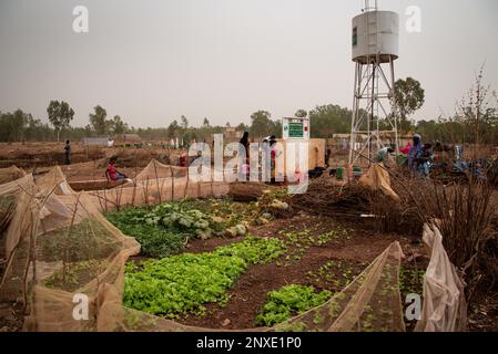 Nicolas Remene / le Pictorium - déplacement au Mali : personnes déplacées à l'intérieur du pays - 18/2/2021 - Mali / District de Bamako / Bamako - à l'intérieur du pays di Banque D'Images