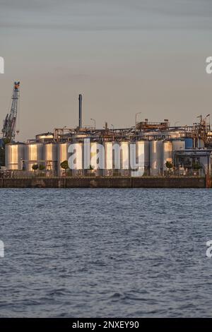 Vue sur l'Elbe avec réservoirs de pétrole et de gaz sur la rive en arrière-plan Banque D'Images