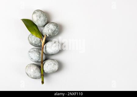 Œufs de Pâques gris avec une branche et une feuille de magnolia sur fond gris. Minimalisme, espace de copie, pose à plat Banque D'Images