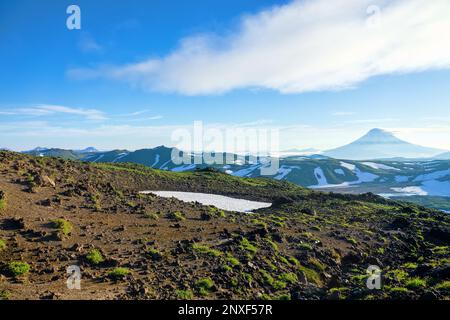 Panorama du vieux malpais. Cône volcanique classique à l'horizon. Un champ de lave modifié de type aa surcultivé avec de la mousse, des lichens, des saules et des céréales. - Banque D'Images