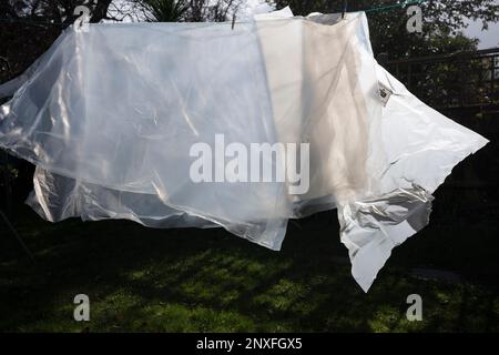 La couverture en plastique qui a été fixée à une ligne de lavage pour l'aération, a l'apparence d'un animal ou d'une bête de quelque description - peut-être un lion ou un autre grand chat - dans un jardin arrière du sud de Londres, le 25th février 2023, à Londres, en Angleterre. Banque D'Images