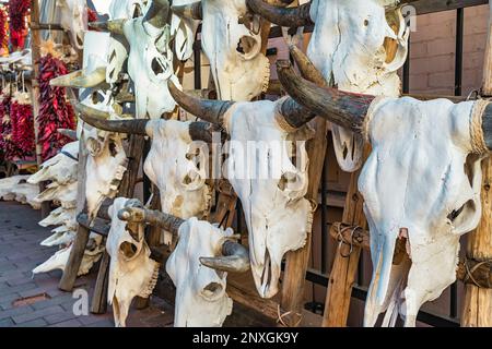 Marché avec des buffles et des crânes de bétail dans le centre-ville de Santa Fe, Nouveau-Mexique, États-Unis. Banque D'Images