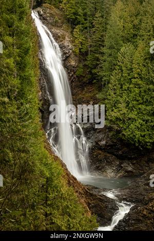 WA23150-00...WASHINGTON - Middle Wallace Falls, l'une des trois principales chutes du parc national de Wallace Falls près de Gold Bar. Banque D'Images