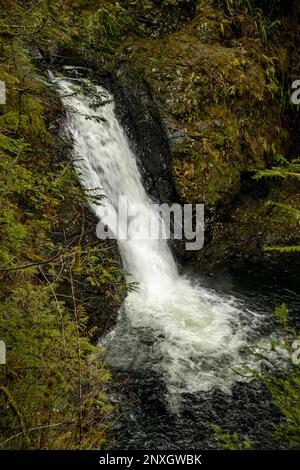 WA23156-00...WASHINGTON - l'un des trois niveaux de Lower Wallace Falls, l'une des trois chutes majeures dans le parc national de Wallace Falls près de Gold Bar. Banque D'Images