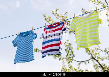 T-shirts suspendus sur la ligne de vêtements devant les pommiers en fleurs dans le jardin Banque D'Images