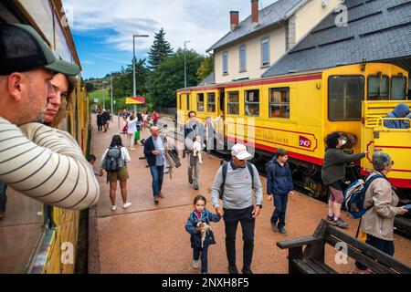 Passagers à la gare de Mont Louis la cabanasse. Le train jaune ou le train jaune, Pyrénées-Orientales, Languedoc-Roussillon, France. La ligne de Banque D'Images