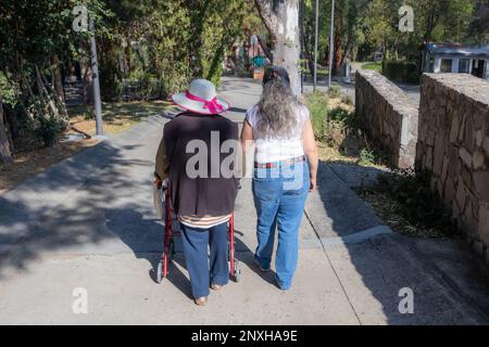 Vue arrière d'une fille adulte soutenant sa mère senior lorsqu'elle la prend pour marcher avec un marcheur, profitant d'une journée ensoleillée de printemps entourée d'arbres, décontracté Banque D'Images