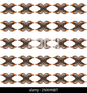 Motif abstrait de l'oie Banque D'Images