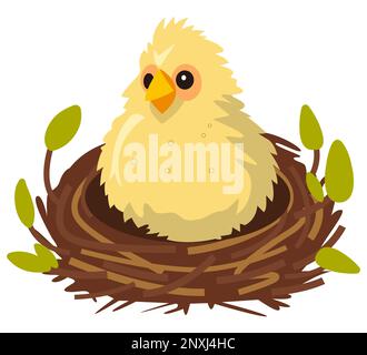 un mignon poussin jaune est assis dans le nid. illustration vectorielle plate. Illustration de Vecteur