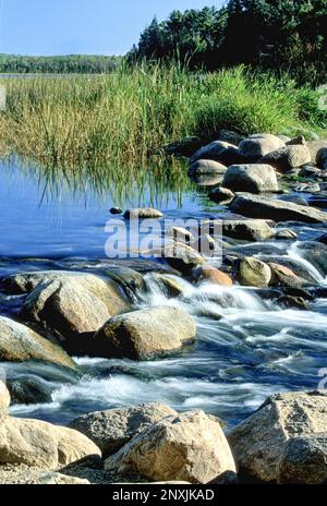 Le fleuve Mississippi commence avec l'eau qui coule au-dessus de petits rochers à l'extérieur du parc national d'Itaska, dans le Minnesota, aux États-Unis. Banque D'Images
