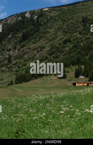 Vue sur la maison sur l'herbe verte dans les Alpes Banque D'Images
