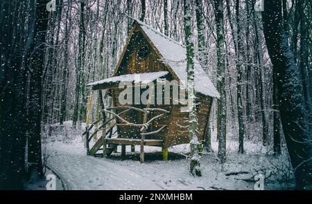 Une cabane dans une forêt dans un endroit enneigé. Banque D'Images