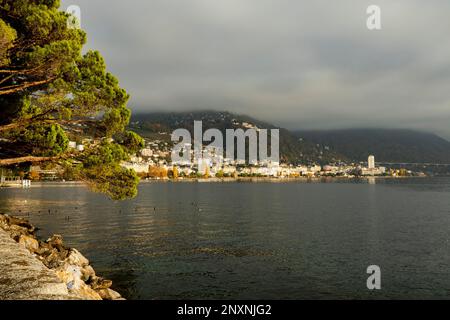 Vue de la ville de Montreux Suisse depuis la promenade le long du lac Léman, lac Léman, en automne, avec des canards sur le lac Banque D'Images