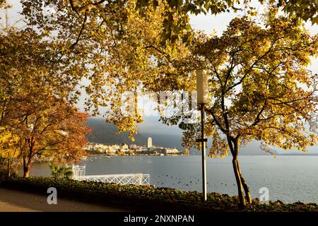 Vue de la ville de Montreux Suisse depuis la promenade le long du lac Léman, lac Léman, en automne, avec des canards sur le lac Banque D'Images