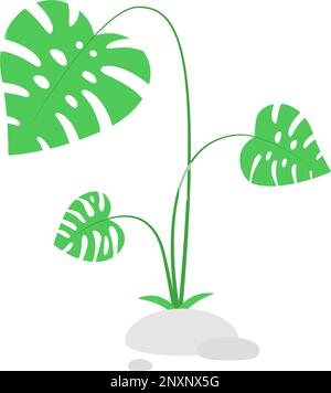brousse verte avec feuilles tropicales Illustration de Vecteur