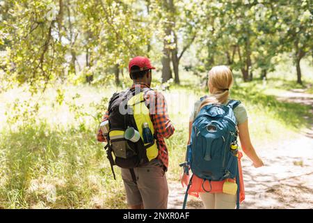 Vue arrière d'un couple varié avec des sacs à dos marchant dans une forêt ensoleillée, parlant Banque D'Images