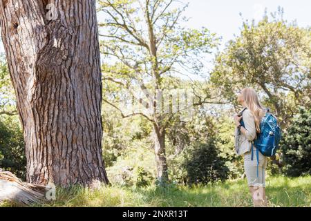 Femme caucasienne avec randonnée à dos dans la forêt ensoleillée, à la recherche d'un grand arbre, espace copie Banque D'Images