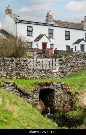Dame avec trug de jardin à l'extérieur vieux chalet blanc avec panneaux solaires avec ruisseau émergeant du tunnel en pierre et mur de pierre sèche ci-dessus, Garrigill, Cumbria Banque D'Images