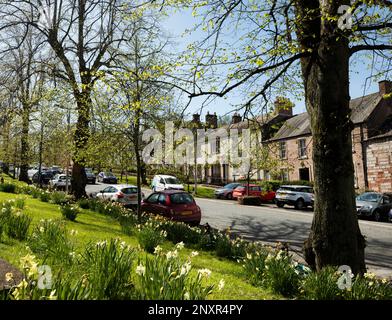 Battlebarrow Street à Appleby dans Westmorland Eden Valley Cumbria sur une journée ensoleillée de printemps avec des jonquilles en fleurs et des voitures garées pour shoppers.shoppers Banque D'Images