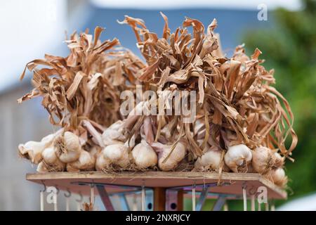 Gros plan sur une pile de garlics au sommet d'un écran sur un marché. Banque D'Images