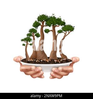 Composition de l'arbre Bonsai avec des mains réalistes tenant la fleur pot vecteur illustration Illustration de Vecteur