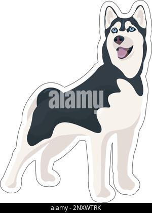 Autocollant Husky Vector Siberian. chien noir et blanc debout et souriant, langue pendante. Mignon animal de compagnie de dessin animé. Animal domestique Illustration de Vecteur