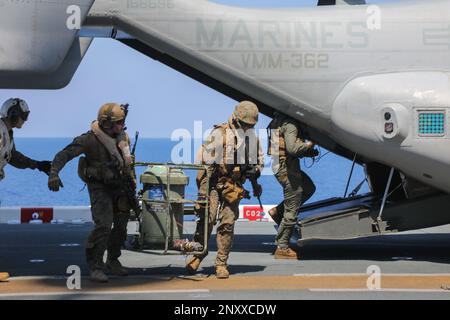 NATUNA SEA (16 JANVIER 2023) - ÉTATS-UNIS Marines avec le Marine Medium Tiltrotor Squadron (VMM) 362 (rein.), 13th Marine Expeditionary Unit, déplacer l'équipement de ravitaillement d'un MV-22B Osprey au cours d'une répétition de point d'armement et de ravitaillement à bord du navire d'assaut amphibie USS Makin Island (LHD 8), le 16 janvier. L'unité expéditionnaire maritime de 13th est embarquée dans le groupe de préparation amphibie de l'île de Makin, composé des navires de transport amphibie USS John P. Murtha (LPD 26) et USS Anchorage (LPD 23) de l'île de Makin, et opérant dans la zone d'exploitation de la flotte américaine 7th. 7th Fleet est le U.S. Le plus grand de la marine Banque D'Images