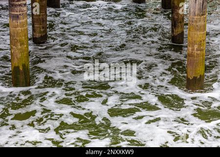 Écoulement turbulent de l'eau de drainage le long du front de mer Steveston Colombie-Britannique Canada Banque D'Images