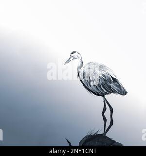 Photographie artistique d'un grand héron bleu qui se frayant à travers l'eau impropre Banque D'Images